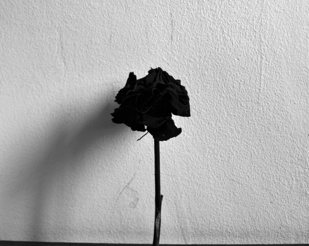 Kayıp Sonrası Psikoterapi Desteği: Yas Sürecini Anlamak ve İyileşmeye Alan Açmak